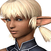 Avatars-FF11-FFFury (8).gif